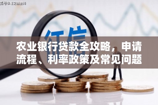 桦甸农业银行贷款全攻略，申请流程、利率政策及常见问题解析