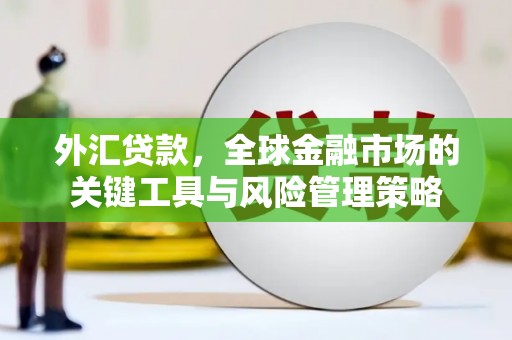 桦甸外汇贷款，全球金融市场的关键工具与风险管理策略