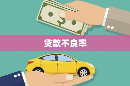 桦甸贷款不良率