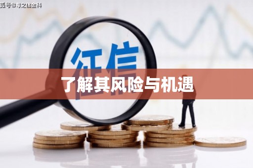 桦甸了解其风险与机遇