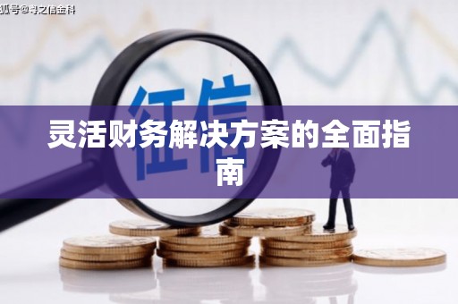 桦甸灵活财务解决方案的全面指南