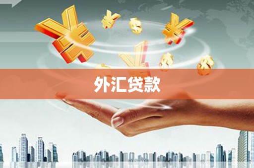 桦甸外汇贷款