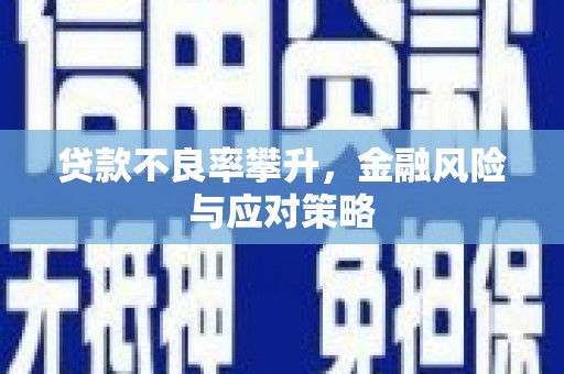 桦甸贷款不良率攀升，金融风险与应对策略