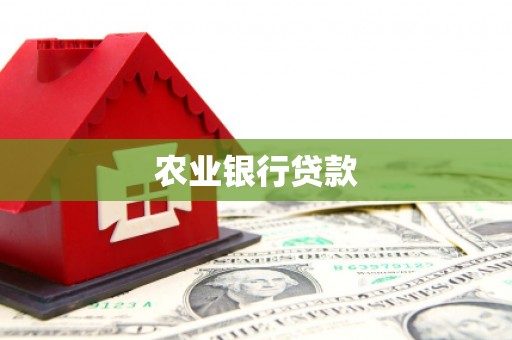 桦甸农业银行贷款