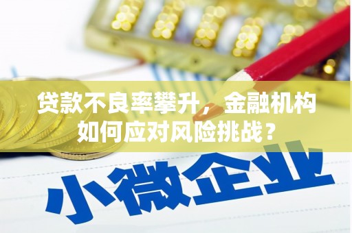 桦甸贷款不良率攀升，金融机构如何应对风险挑战？