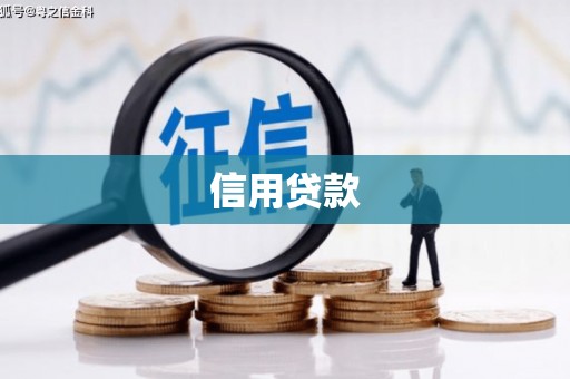 桦甸信用贷款