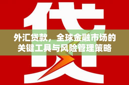 桦甸外汇贷款，全球金融市场的关键工具与风险管理策略