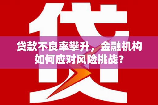 桦甸贷款不良率攀升，金融机构如何应对风险挑战？