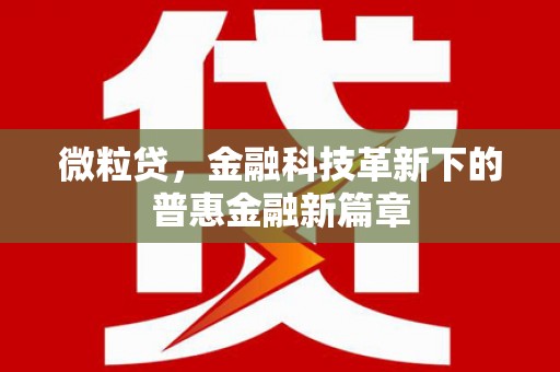 桦甸微粒贷，金融科技革新下的普惠金融新篇章