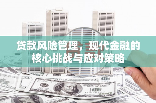 桦甸贷款风险管理，现代金融的核心挑战与应对策略