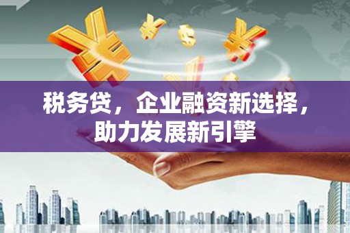 桦甸税务贷，企业融资新选择，助力发展新引擎