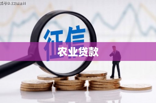 桦甸农业贷款