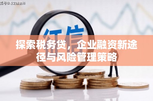 桦甸探索税务贷，企业融资新途径与风险管理策略