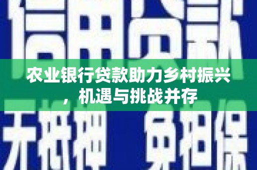桦甸农业银行贷款助力乡村振兴，机遇与挑战并存