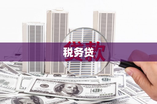 桦甸税务贷
