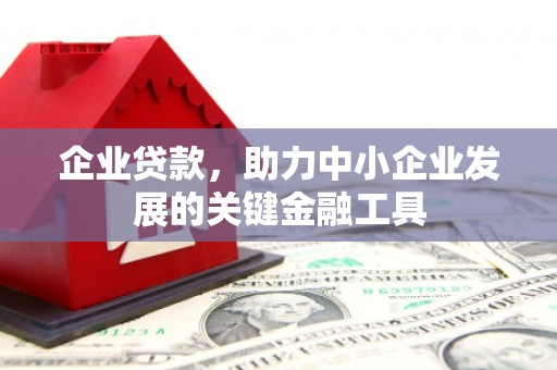 桦甸企业贷款，助力中小企业发展的关键金融工具