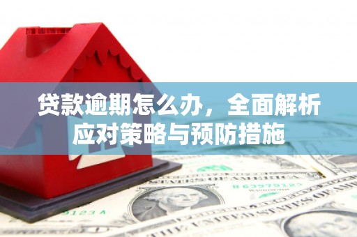 桦甸贷款逾期怎么办，全面解析应对策略与预防措施