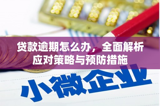 桦甸贷款逾期怎么办，全面解析应对策略与预防措施
