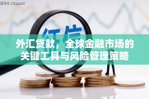 桦甸外汇贷款，全球金融市场的关键工具与风险管理策略