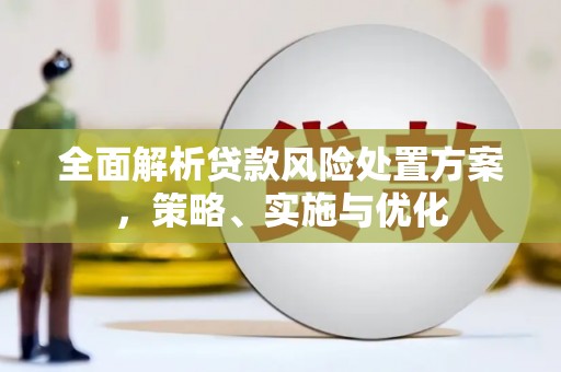 桦甸全面解析贷款风险处置方案，策略、实施与优化