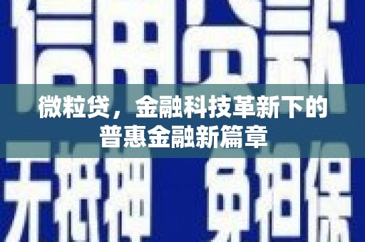 桦甸微粒贷，金融科技革新下的普惠金融新篇章
