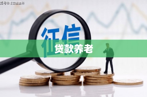 桦甸贷款养老