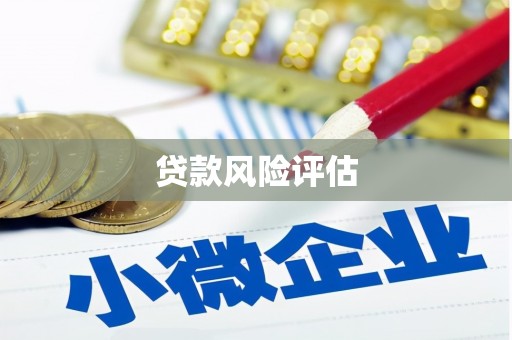 桦甸贷款风险评估