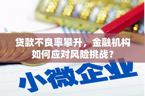 桦甸贷款不良率攀升，金融机构如何应对风险挑战？