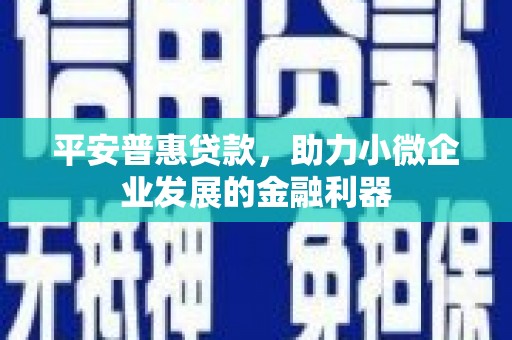 桦甸平安普惠贷款，助力小微企业发展的金融利器