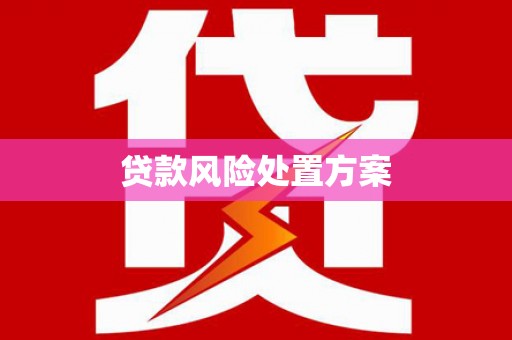 桦甸贷款风险处置方案